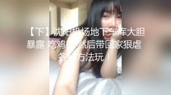 【下】沈阳机场地下车库大胆暴露 吃鸡巴 然后带回家狠虐 各种方法玩！