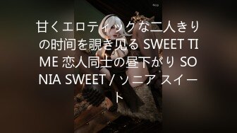 甘くエロティックな二人きりの时间を覗き见る SWEET TIME 恋人同士の昼下がり SONIA SWEET / ソニア スイート