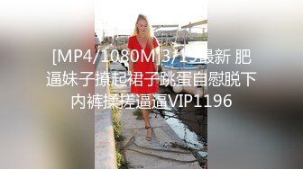 [MP4/1080M]3/19最新 肥逼妹子撩起裙子跳蛋自慰脱下内裤揉搓逼逼VIP1196