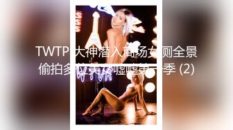 TWTP 大神潜入商场女厕全景偷拍多位美女嘘嘘第一季 (2)