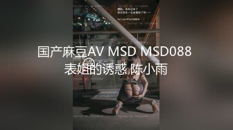 国产麻豆AV MSD MSD088 表姐的诱惑 陈小雨