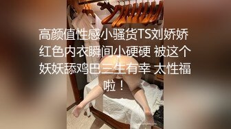 高颜值性感小骚货TS刘娇娇 红色内衣瞬间小硬硬 被这个妖妖舔鸡巴三生有幸 太性福啦！