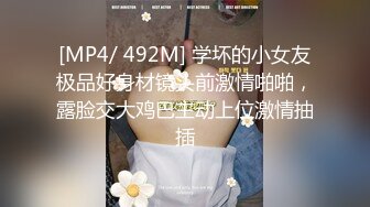 [MP4/ 492M] 学坏的小女友极品好身材镜头前激情啪啪，露脸交大鸡巴主动上位激情抽插