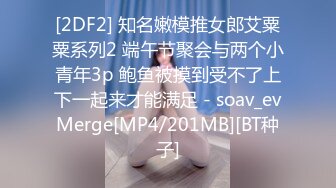 [2DF2] 知名嫩模推女郎艾粟粟系列2 端午节聚会与两个小青年3p 鲍鱼被摸到受不了上下一起来才能满足 - soav_evMerge[MP4/201MB][BT种子]