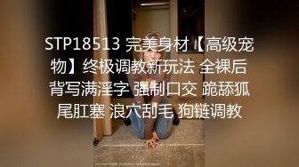 STP18513 完美身材【高级宠物】终极调教新玩法 全裸后背写满淫字 强制口交 跪舔狐尾肛塞 浪穴刮毛 狗链调教