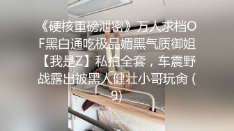 《硬核重磅泄密》万人求档OF黑白通吃极品媚黑气质御姐【我是Z】私拍全套，车震野战露出被黑人健壮小哥玩肏 (9)