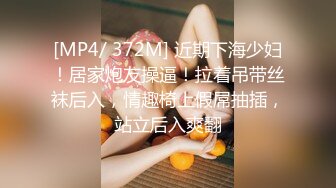 [MP4/ 372M] 近期下海少妇！居家炮友操逼！拉着吊带丝袜后入，情趣椅上假屌抽插，站立后入爽翻