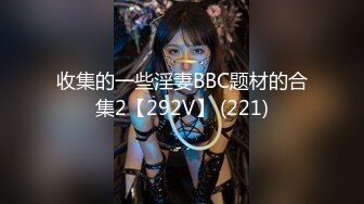 收集的一些淫妻BBC题材的合集2【292V】 (221)