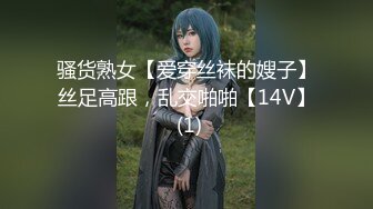 骚货熟女【爱穿丝袜的嫂子】丝足高跟，乱交啪啪【14V】 (1)